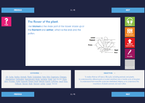 Primary Science Lessons